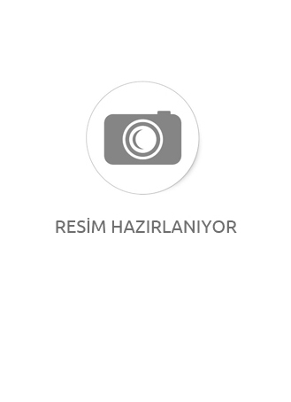 Royal Canin Mini Sterilised Yetişkin Köpek Kuru Maması
